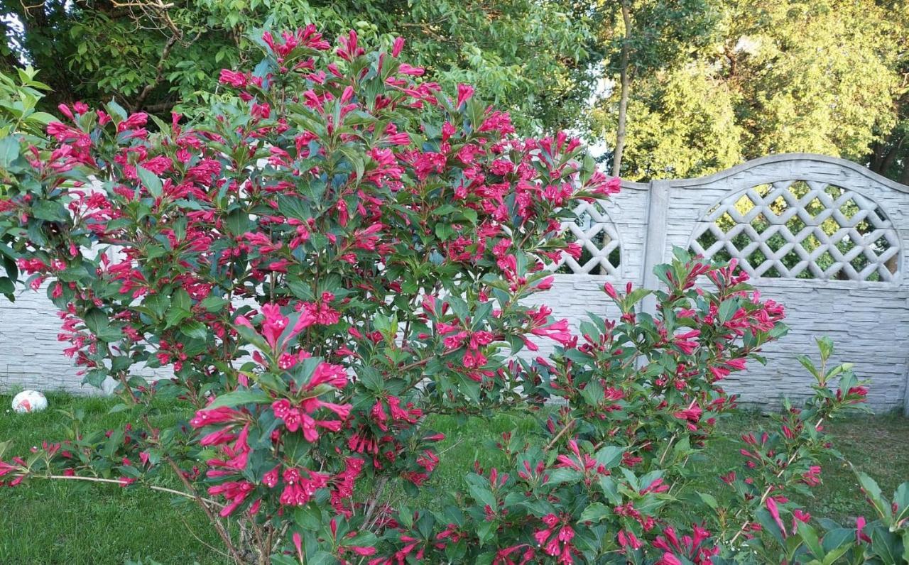 Magnolia Gospodarstwo Agroturystyczne Kazimierz Dolny Exterior photo